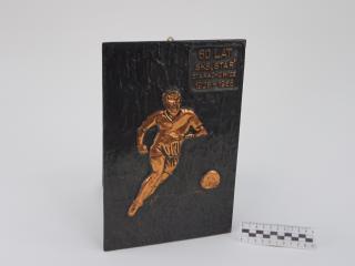 NAGRODA SPORTOWA PUCHAR STATUETKA