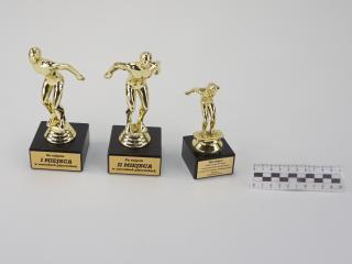 NAGRODA SPORTOWA PUCHAR STATUETKA