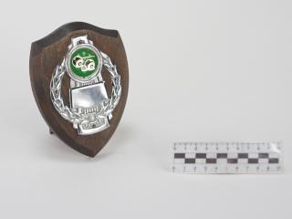 NAGRODA SPORTOWA PUCHAR STATUETKA