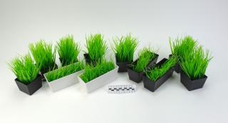 ROŚLINA SZTUCZNA TRAWA