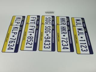 TABLICA REJESTRACYJNA AMERYKAŃSKA