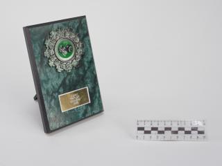 NAGRODA SPORTOWA PUCHAR STATUETKA