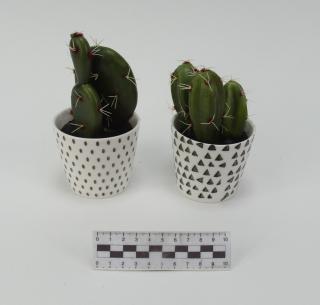 ROŚLINA SZTUCZNA KAKTUS 