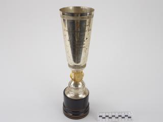 NAGRODA SPORTOWA PUCHAR STATUETKA