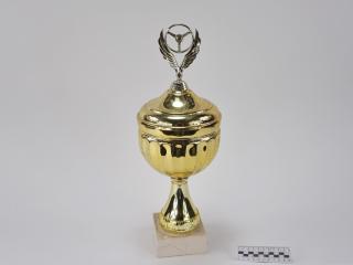 NAGRODA SPORTOWA PUCHAR STATUETKA