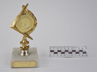 NAGRODA SPORTOWA PUCHAR STATUETKA