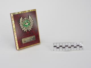 NAGRODA SPORTOWA PUCHAR STATUETKA