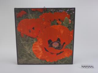 OBRAZ PRACA Z PRAWAMI AUTORSKIMI