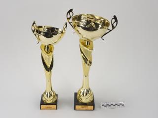 NAGRODA SPORTOWA PUCHAR STATUETKA