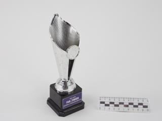 NAGRODA SPORTOWA PUCHAR STATUETKA