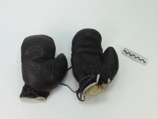 RĘKAWICE BOKSERSKIE