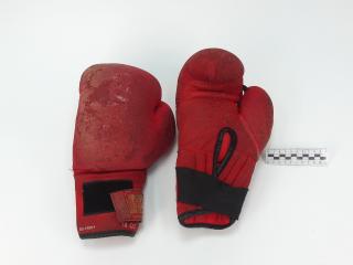 RĘKAWICE BOKSERSKIE