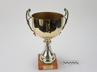 NAGRODA SPORTOWA PUCHAR STATUETKA