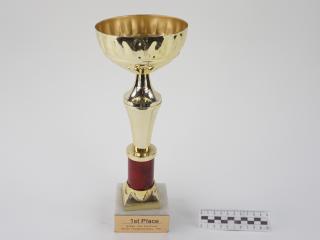 NAGRODA SPORTOWA PUCHAR STATUETKA