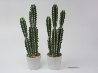 ROŚLINA SZTUCZNA KAKTUS