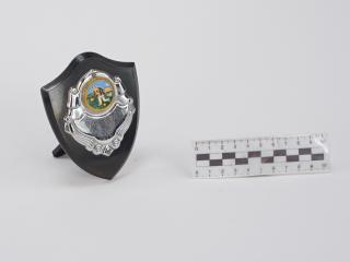 NAGRODA SPORTOWA PUCHAR STATUETKA