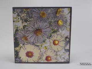 OBRAZ PRACA Z PRAWAMI AUTORSKIMI