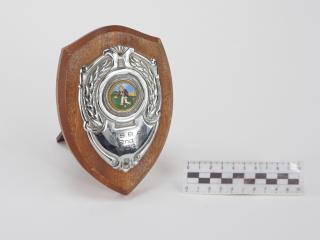 NAGRODA SPORTOWA PUCHAR STATUETKA