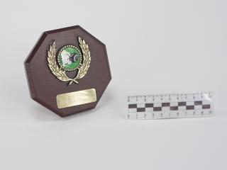 NAGRODA SPORTOWA PUCHAR STATUETKA