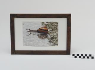 OBRAZ PRACA Z PRAWAMI AUTORSKIMI