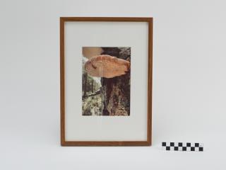 OBRAZ PRACA Z PRAWAMI AUTORSKIMI