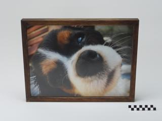 OBRAZ PRACA Z PRAWAMI AUTORSKIMI