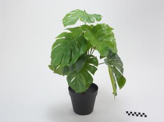 ROŚLINA SZTUCZNA MONSTERA