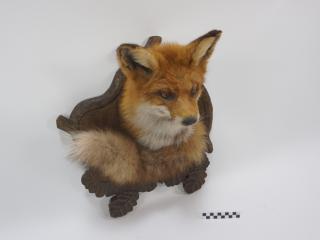 MEDALION LISA TROFEUM