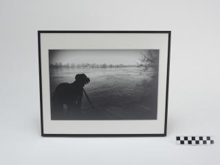 OBRAZ PRACA Z PRAWAMI AUTORSKIMI