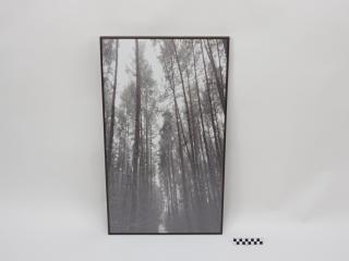 OBRAZ PRACA Z PRAWAMI AUTORSKIMI