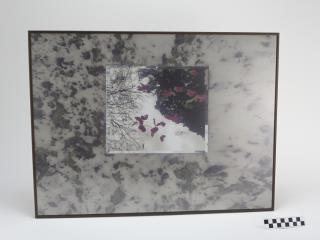 OBRAZ PRACA Z PRAWAMI AUTORSKIMI