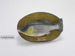 ŚPIEWAJĄCA RYBA DEKORACJA ŚCIENNA