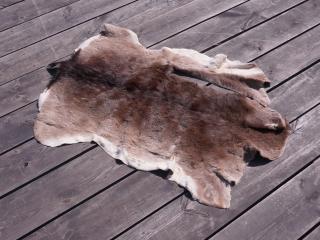 SKÓRA Z DZIKA DYWAN