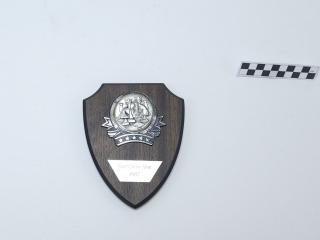 NAGRODA SPORTOWA PUCHAR STATUETKA