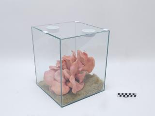 FIGURKA OZDOBNA DEKORACYJNA