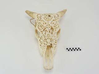 POROŻE ROGI TROFEUM