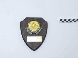 NAGRODA SPORTOWA PUCHAR STATUETKA