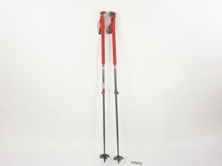 KIJKI TREKKINGOWE KIJE DO NORDIC WALKING